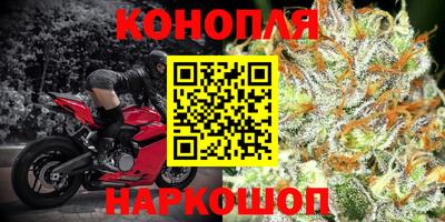 индика Краснокаменск