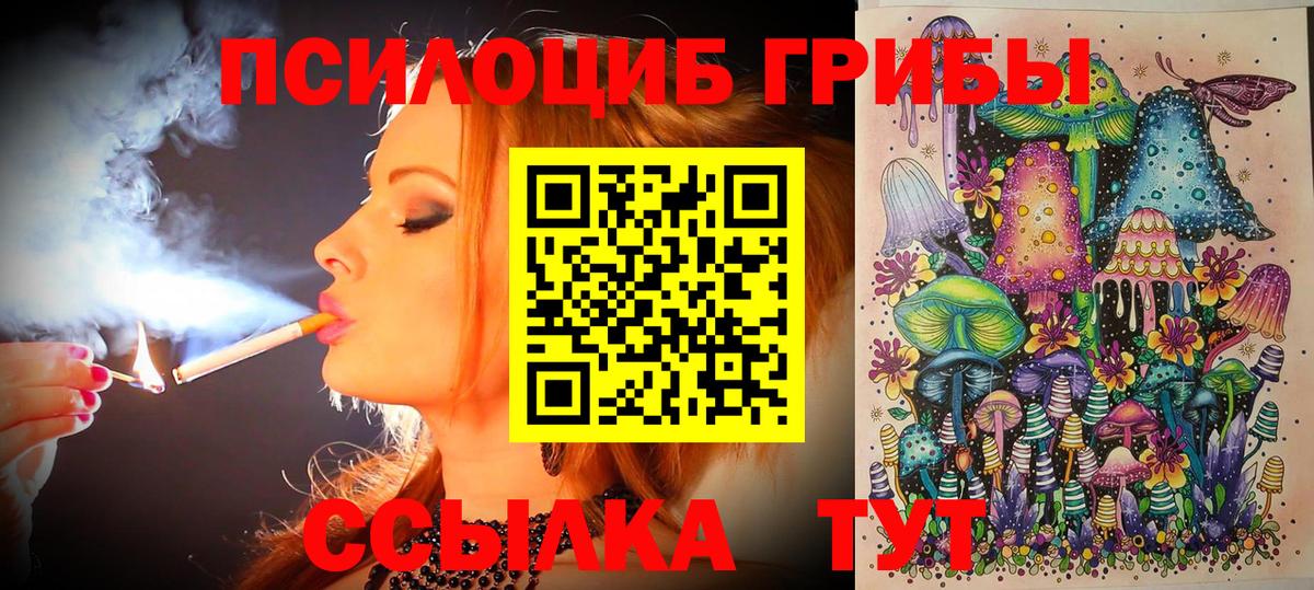 Псилоцибиновые грибы Cubensis  Вход с VPN  Каменск-Уральский 